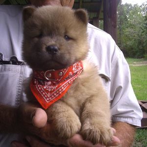 Meet your Posher, Kelley